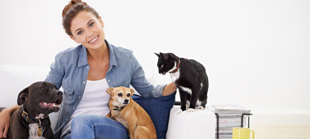 Trusted Pet Grooming Services and Best Pet Groomers in Austin