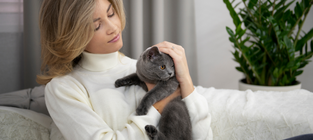 Top Cat Grooming Services and Cat Groomers in Huston