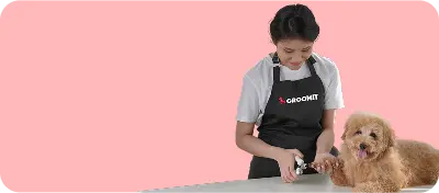 Professional